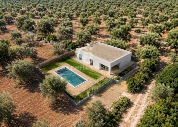 Foto 3 - Terreno agricolo Contrada Santa Varva
sn, Ostuni - foto 3