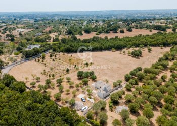 Foto 7 - Baita Contrada Parco del Vaglio
 
sn, Locorotondo - foto 7