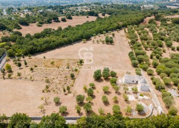 Foto 8 - Baita Contrada Parco del Vaglio
 
sn, Locorotondo - foto 8