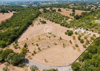 Foto 9 - Baita Contrada Parco del Vaglio
 
sn, Locorotondo - foto 9