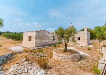 Foto 11 - Baita Contrada Parco del Vaglio
 
sn, Locorotondo - foto 11