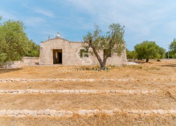 Foto 23 - Baita Contrada Parco del Vaglio
 
sn, Locorotondo - foto 23