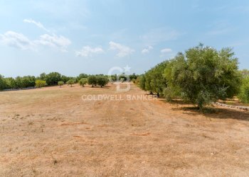 Foto 24 - Baita Contrada Parco del Vaglio
 
sn, Locorotondo - foto 24