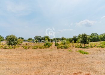 Foto 25 - Baita Contrada Parco del Vaglio
 
sn, Locorotondo - foto 25