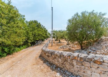 Foto 29 - Baita Contrada Parco del Vaglio
 
sn, Locorotondo - foto 29