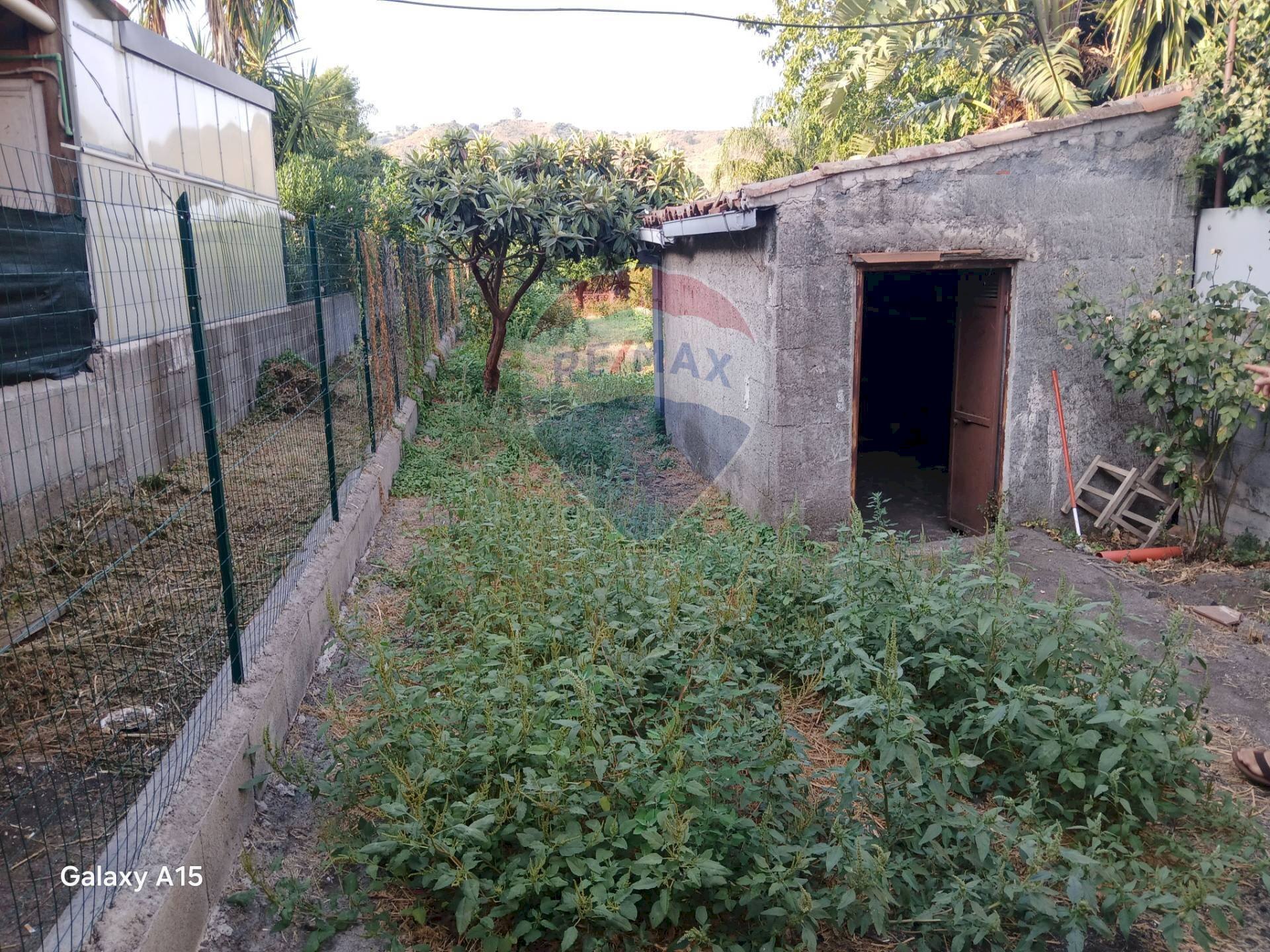Giardino - Casa indipendente via albero san filippo
 
sn, Piedimonte Etneo - foto 3