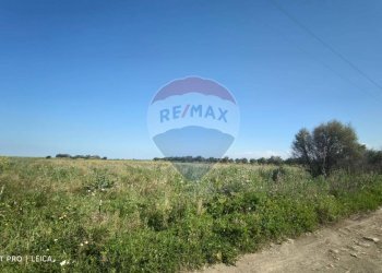 Giardino - Agricultural land Bivio Jannarello
 
snc, Ramacca - photo 4