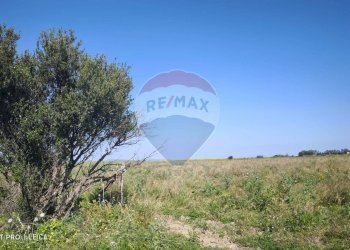 Vista delle montagne - Agricultural land Bivio Jannarello
 
snc, Ramacca - photo 7