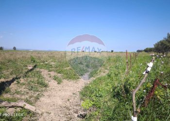 Vista delle montagne - Agricultural land Bivio Jannarello
 
snc, Ramacca - photo 9