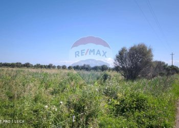 Giardino - Agricultural land Bivio Jannarello
 
snc, Ramacca - photo 10