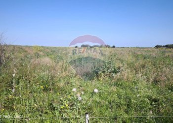 Vista delle montagne - Agricultural land Bivio Jannarello
 
snc, Ramacca - photo 12