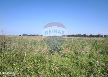 Vista delle montagne - Agricultural land Bivio Jannarello
 
snc, Ramacca - photo 13