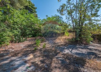 Giardino - Villa Via Luigi Einaudi
 
80, Grammichele - foto 23