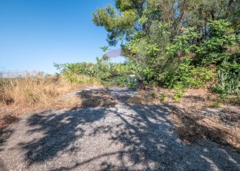 Giardino - Villa Via Luigi Einaudi
 
80, Grammichele - foto 24