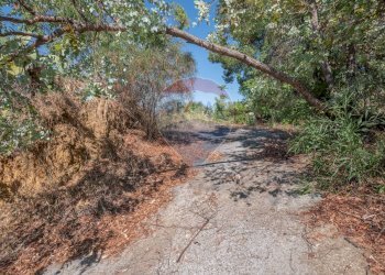 Giardino - Villa Via Luigi Einaudi
 
80, Grammichele - foto 25