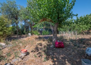 Giardino - Villa Via Luigi Einaudi
 
80, Grammichele - foto 33