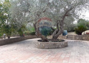 Terrazza - Villa Via Antonello da Messina
 
1/G, Piazza Armerina - foto 24