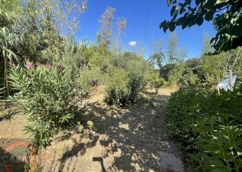 Foto 19 - Casa indipendente strada torre moresca, Latina - foto 19