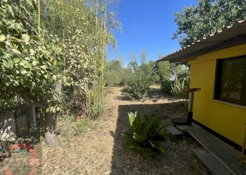 Foto 21 - Casa indipendente strada torre moresca, Latina - foto 21