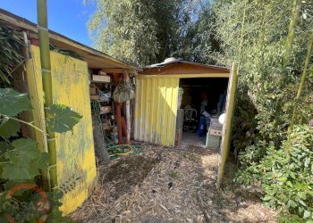 Foto 24 - Casa indipendente strada torre moresca, Latina - foto 24