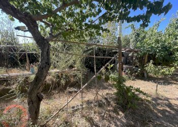 Foto 28 - Casa indipendente strada torre moresca, Latina - foto 28