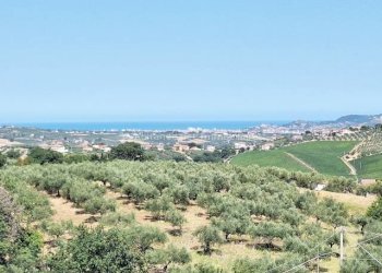 Foto 25 - Villa Contrada Materna
 
1, Collecorvino - foto 25