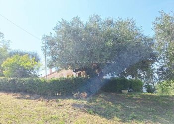 Foto 35 - Villa Contrada Materna
 
1, Collecorvino - foto 35