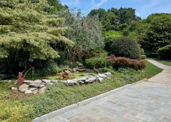 Foto 9 - Villa via Salvadonica
 
30, Colverde - foto 9