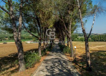 Foto 42 - Rustico Vocabolo Tevermorto
 
122, Todi - foto 42