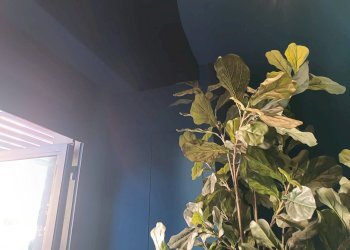 Foto 18 - Commercial Premises Via Tosco Romagnola, Pontedera - photo 18