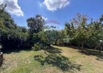 Giardino - Casa indipendente Contrada Monteverde
 
snc, Vinchiaturo - foto 13