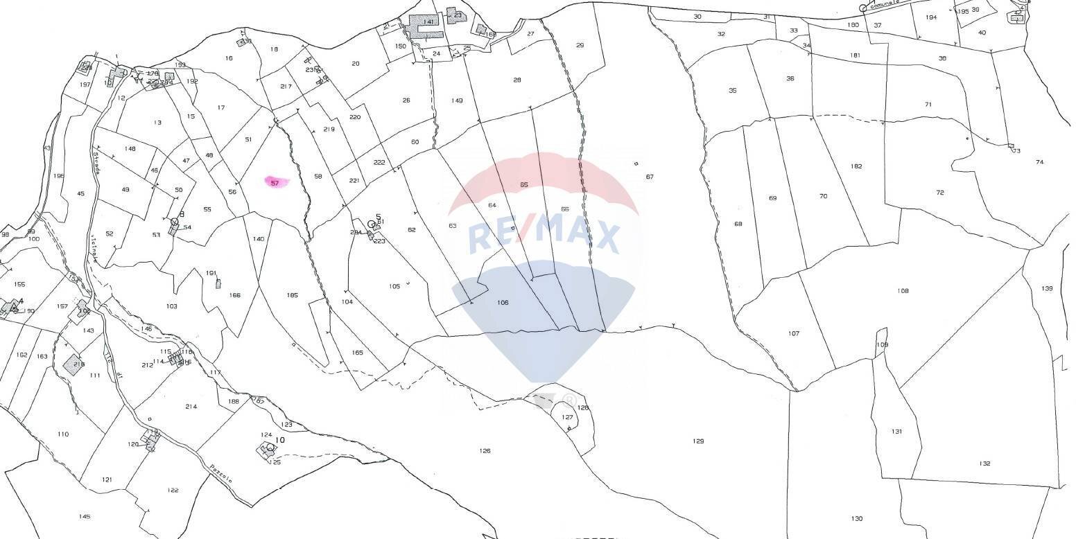 Pianta 2D - Agricultural land Caino - photo 2