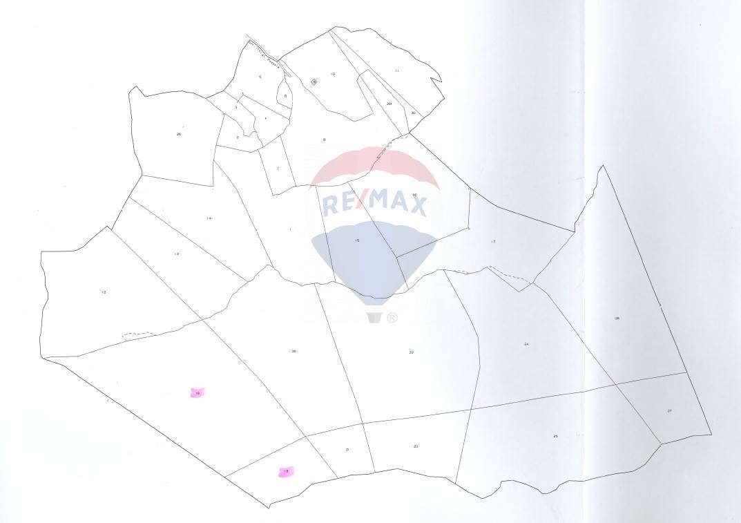 Pianta 2D - Agricultural land Caino - photo 3