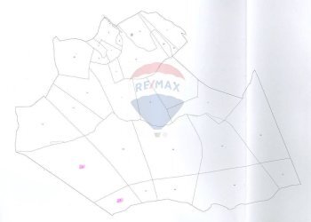 Pianta 2D - Terreno agricolo Caino - foto 3