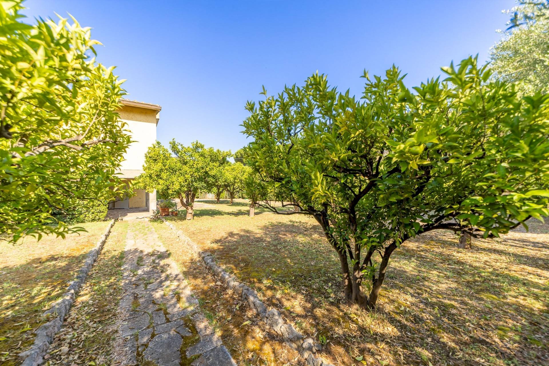 Foto 3 - Villa Località Pozzarello
 
snc, Monte Argentario - foto 3