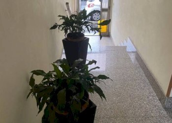 Interno palazzo - Stable - Palace via Francesco Baracca, 48, Torino - photo 7