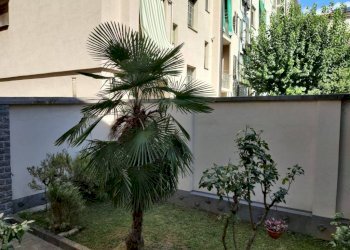 Giardino - Stable - Palace via Francesco Baracca, 48, Torino - photo 12