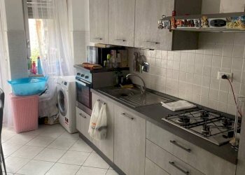 Cucina - Stable - Palace via Francesco Baracca, 48, Torino - photo 44