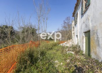 Casale Via Molino, Colli al Metauro - photo 8