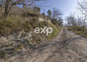 Casale Via Molino, Colli al Metauro - photo 12