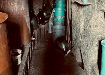 Terratetto - Terracielo Sorano - foto 42