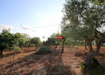 Villa Strada Madonna Del Rosario, Martina Franca - foto 15