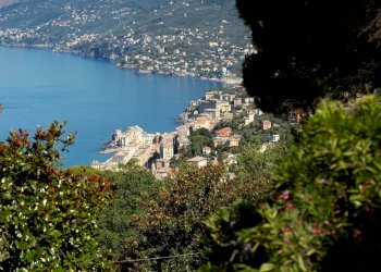 Rustico Camogli - foto 17