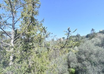 Casa indipendente Chiavari - foto 16