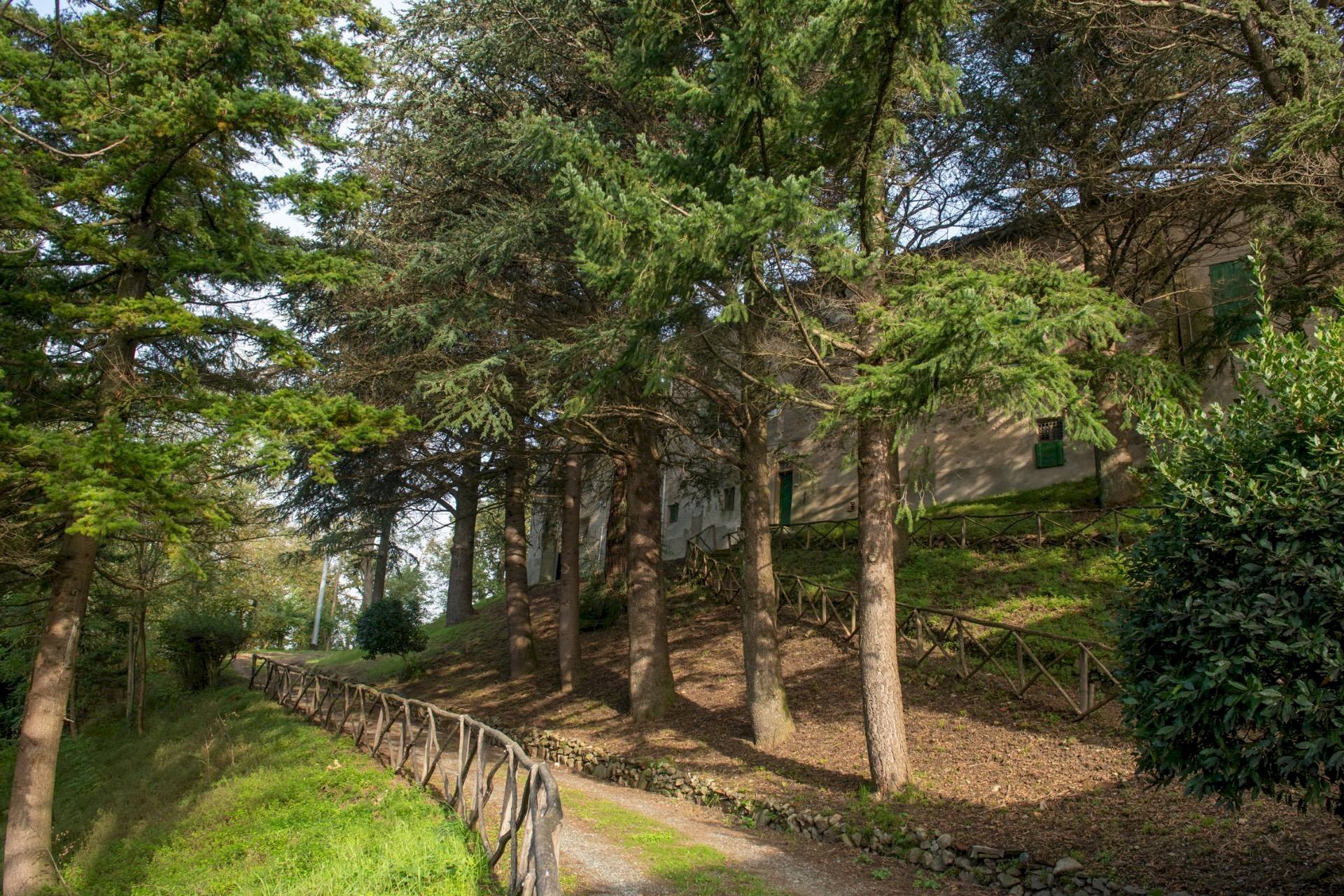 Castle Belforte Monferrato - photo 2