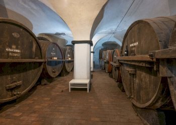 Castello Belforte Monferrato - foto 18