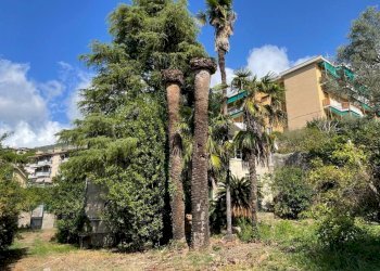 Casa indipendente Genova - foto 23