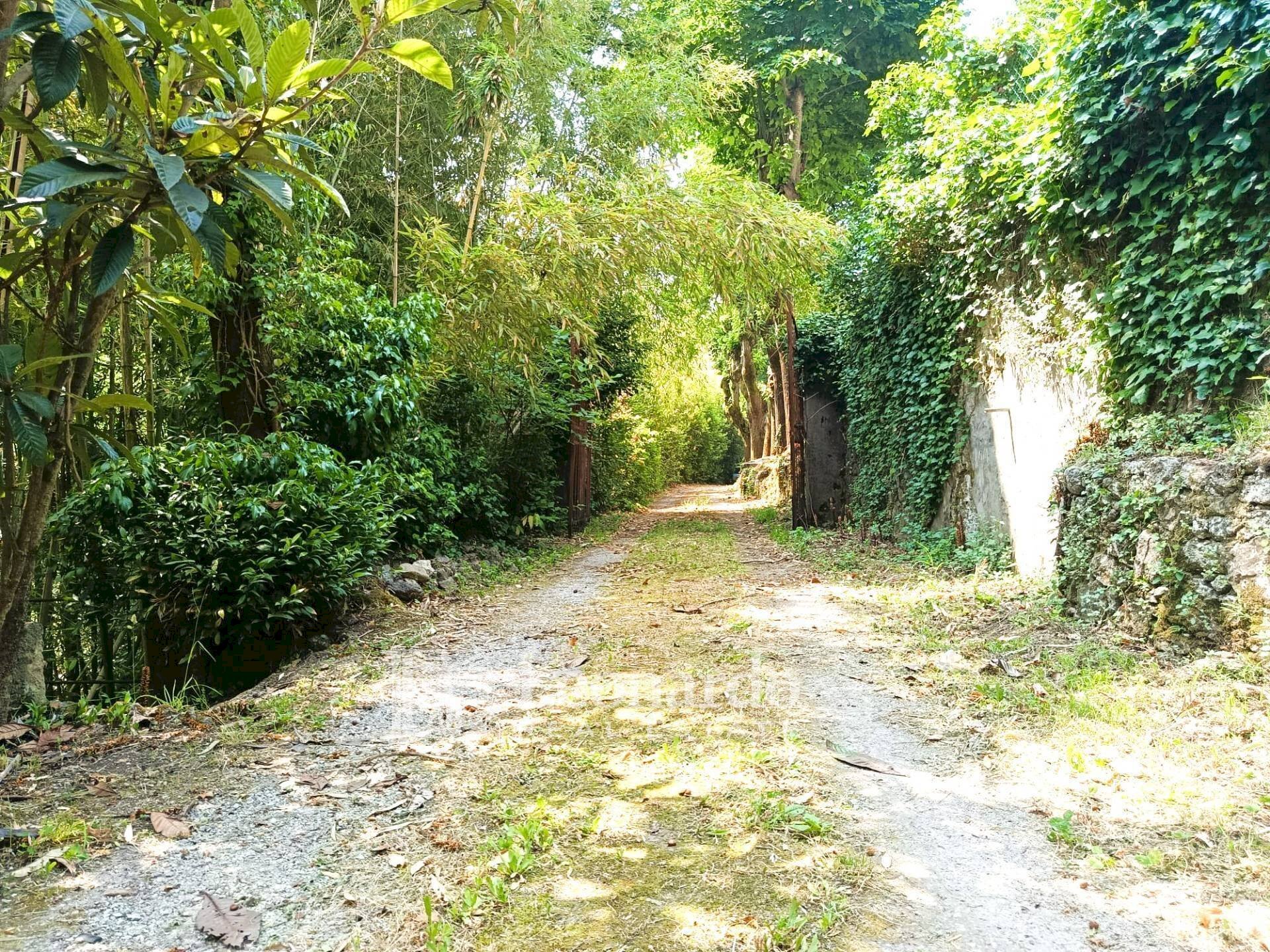 Foto 1 - Casa indipendente Via Nuova, Camaiore - foto 1