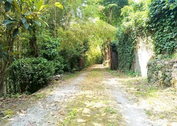 Foto 1 - Casa indipendente Via Nuova, Camaiore - foto 1