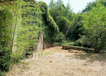 Foto 2 - Casa indipendente Via Nuova, Camaiore - foto 2